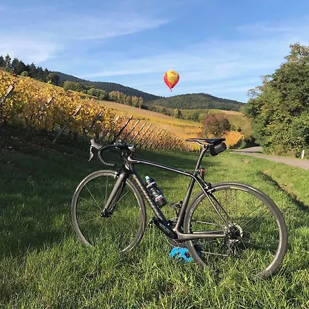 Logis Beausejour Hotel