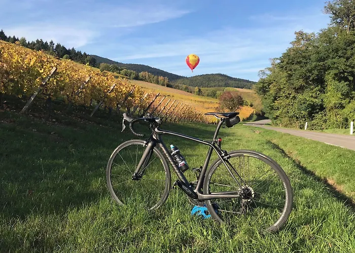 Logis Beausejour Hotel